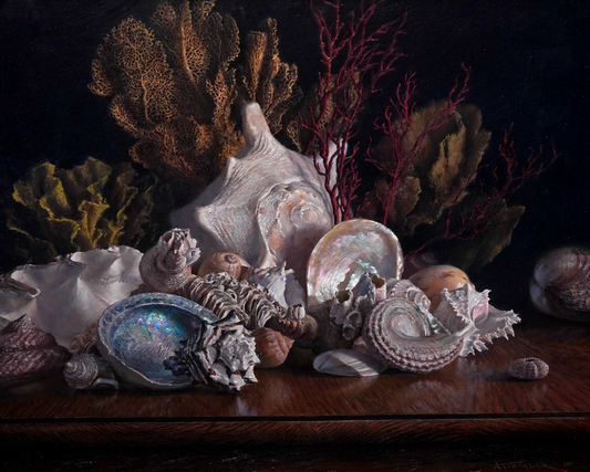 Seashells